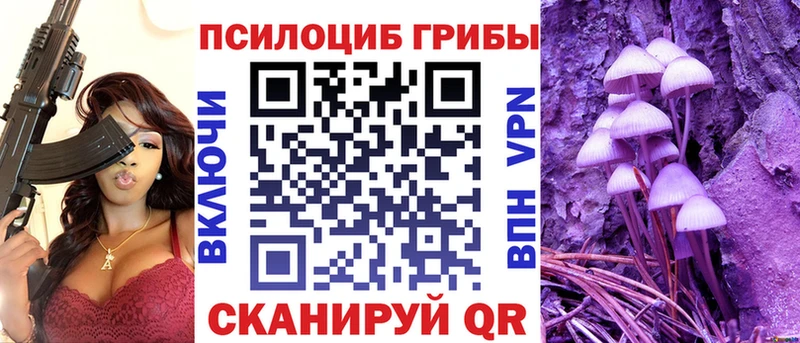 Псилоцибиновые грибы Cubensis  Купить  Моздок 